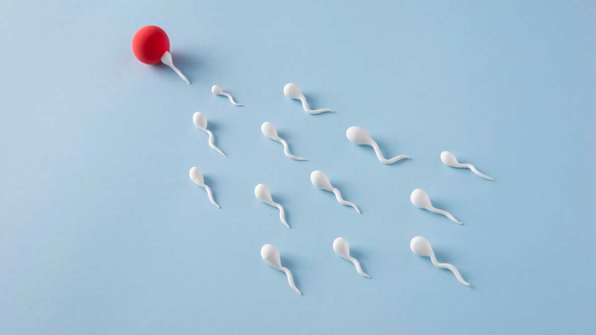 Who-Can-Be-a-Sperm-Donor-In-India-ins2