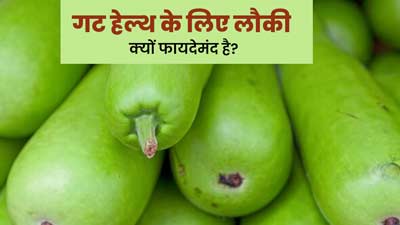 गट हेल्थ के लिए लौकी क्यों फायदेमंद है? आयुर्वेदिक एक्सपर्ट से जानें