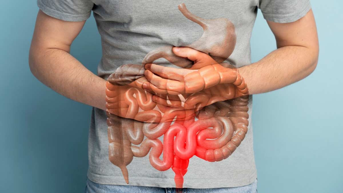intestine