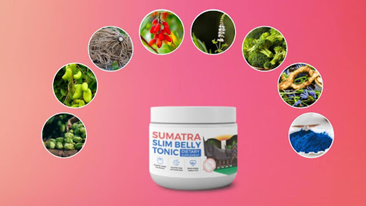 Main Components Of Sumatra Slim Belly Tonic