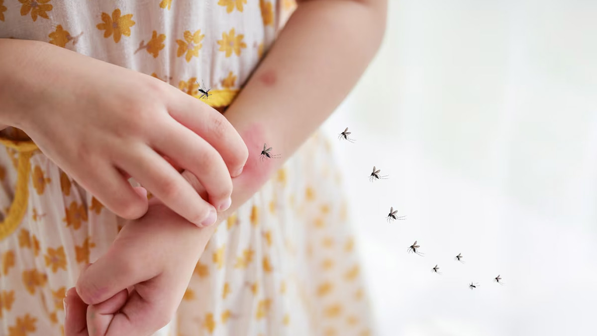Intensifying Vector Control in Summer Months: A Necessary Step in Mosquito-Borne Disease Prevention