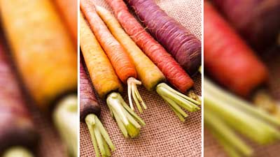 International Carrot Day 2024: लाल, पीली या सफेद, जानें सेहत के लिए कौन-सी गाजर होती है ज्यादा फायदेमंद? 