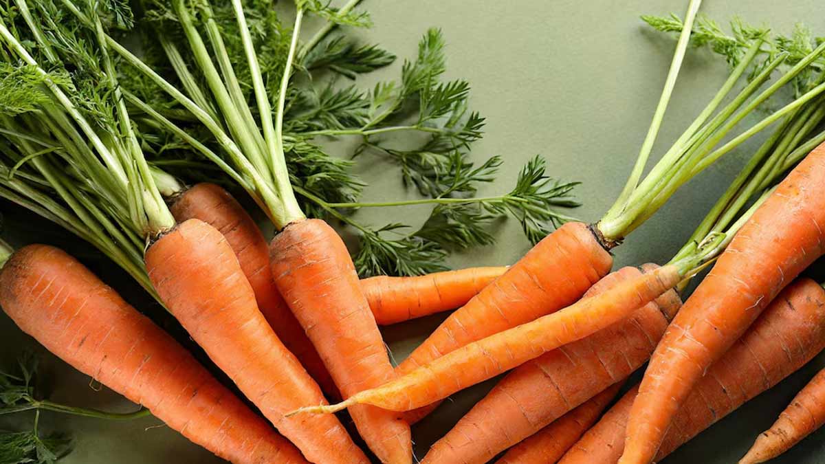 International Carrot Day: Top 10 Wonderful Benefits of Carrot