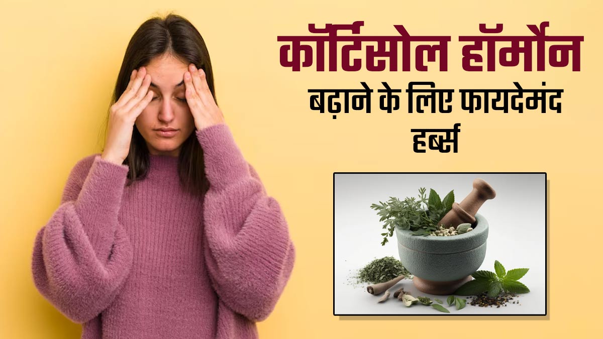 कोर्टिसोल हॉर्मोन बैलेंस करने के लिए करें इन आयुर्वेदिक हर्ब्स का सेवन, मिलेंगे फायदे