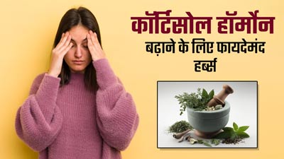 कोर्टिसोल हॉर्मोन बैलेंस करने के लिए करें इन आयुर्वेदिक हर्ब्स का सेवन, मिलेंगे फायदे