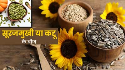 सूरजमुखी या कद्दू के बीज: सेहत के लिए क्या होते हैं ज्यादा फायदेमंद? एक्सपर्ट से जानें पोषक तत्व