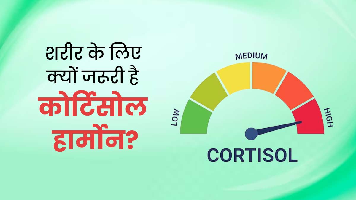 Cortisol Hormone: शरीर के ल‍िए क्‍यों जरूरी होता है कोर्टिसोल हार्मोन? डॉक्‍टर से जानें