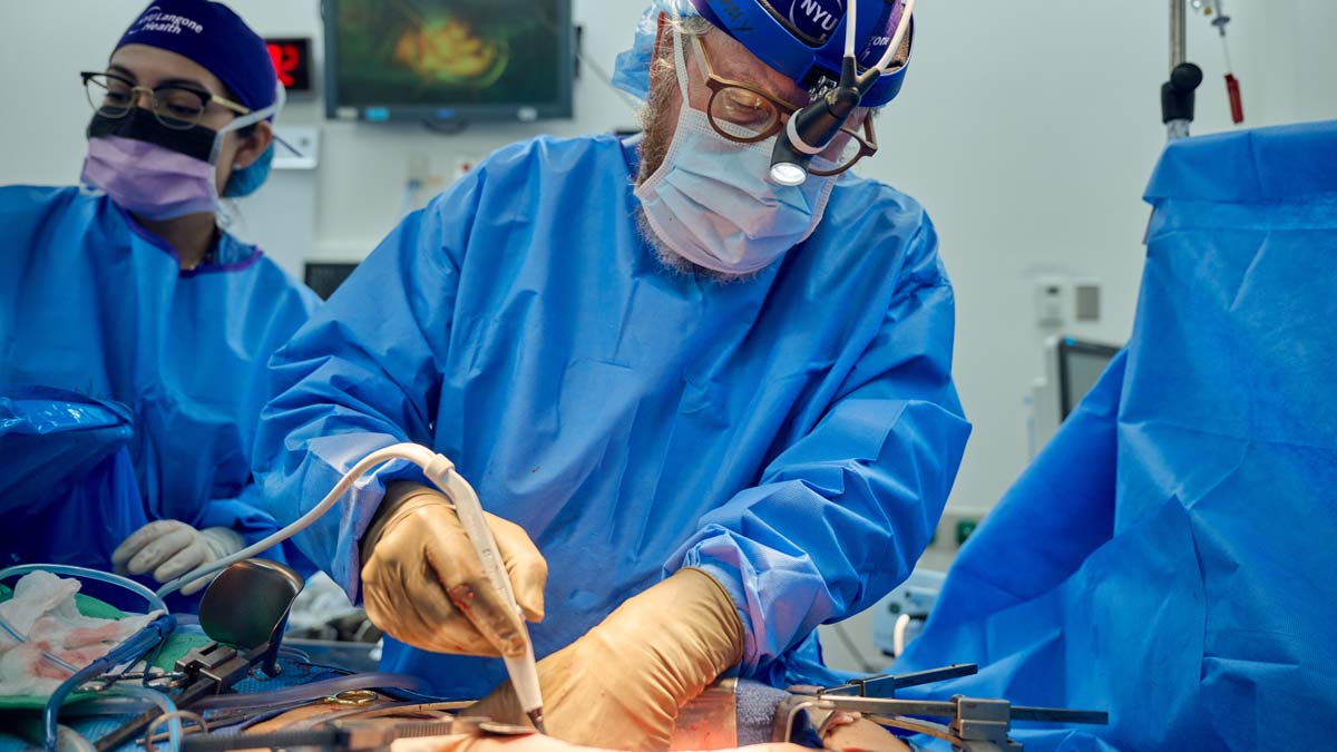 62 साल के व्यक्ति में लगाई गई सूअर की किडनी, सर्जरी के दो हफ्ते बाद हुआ अस्पताल से डिसचार्ज 