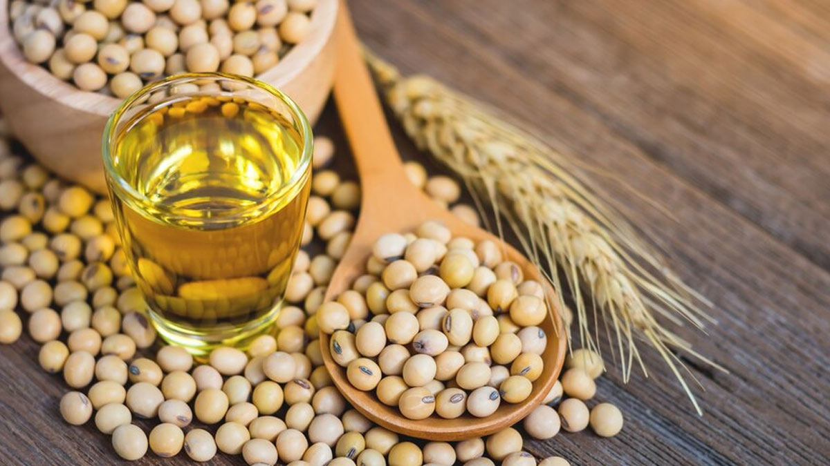 soybean-oil