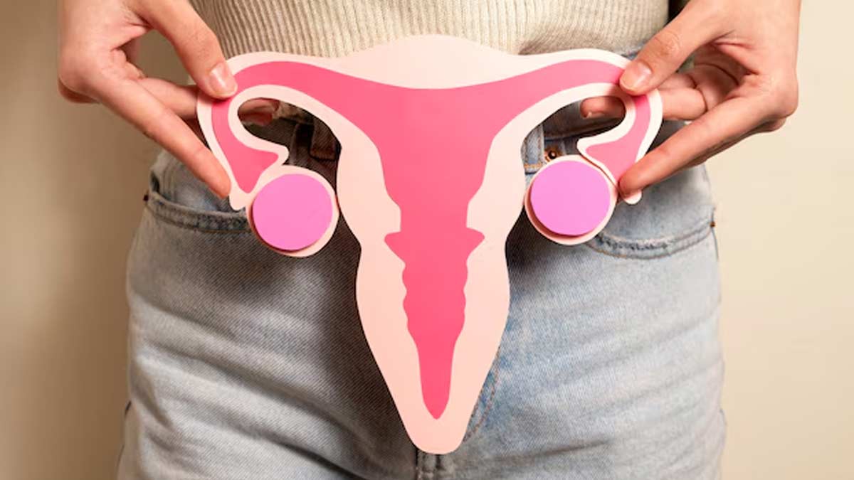 uterus