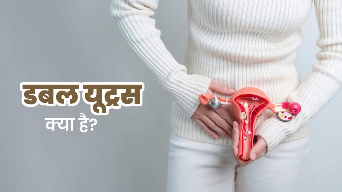 Double Uterus: बाइकॉर्नुएट गर्भाशय (डबल यूट्रस) क्या है? डॉक्टर से जानें इसके लक्षण और कारण