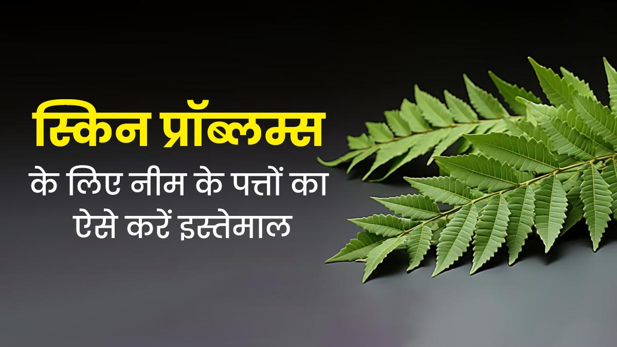 गर्मियों में त्वचा की समस्याओं से बचने के लिए नीम की पत्तियों का इस्तेमाल कैसे करें? जानें 3 तरीके
