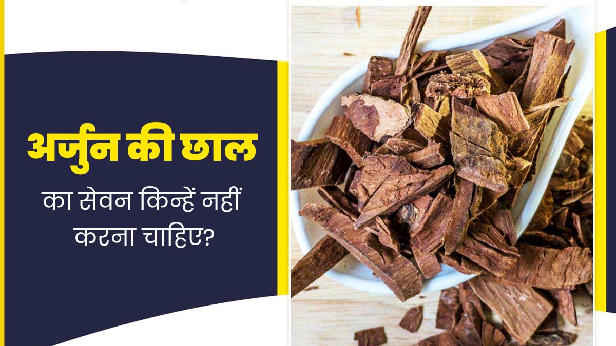 इन 5 तरह के लोगों को नहीं करना चाहिए अर्जुन की छाल का सेवन, एक्सपर्ट से जानें