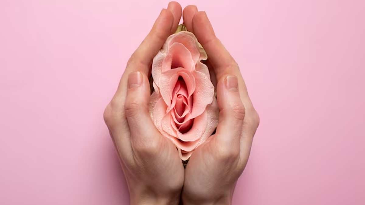 Possible Causes of Vaginal Brown Discharge In Hindi