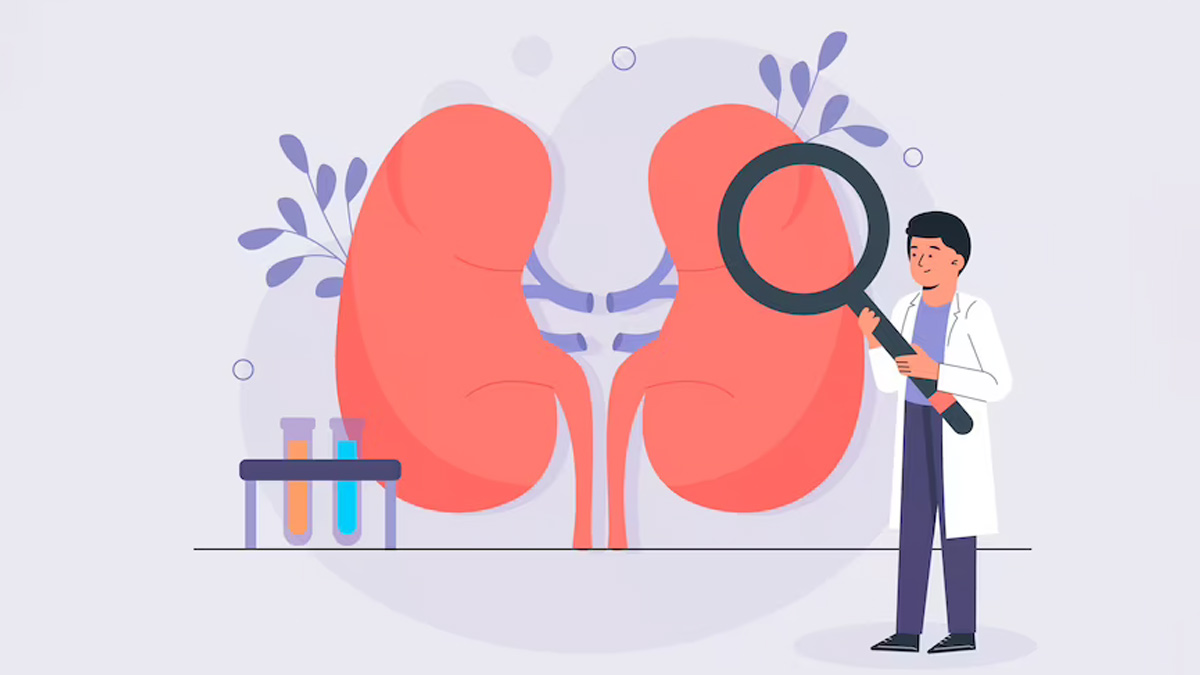 Kidney Health: Here Are Some Kidney Diseases that Can Be Reversed
