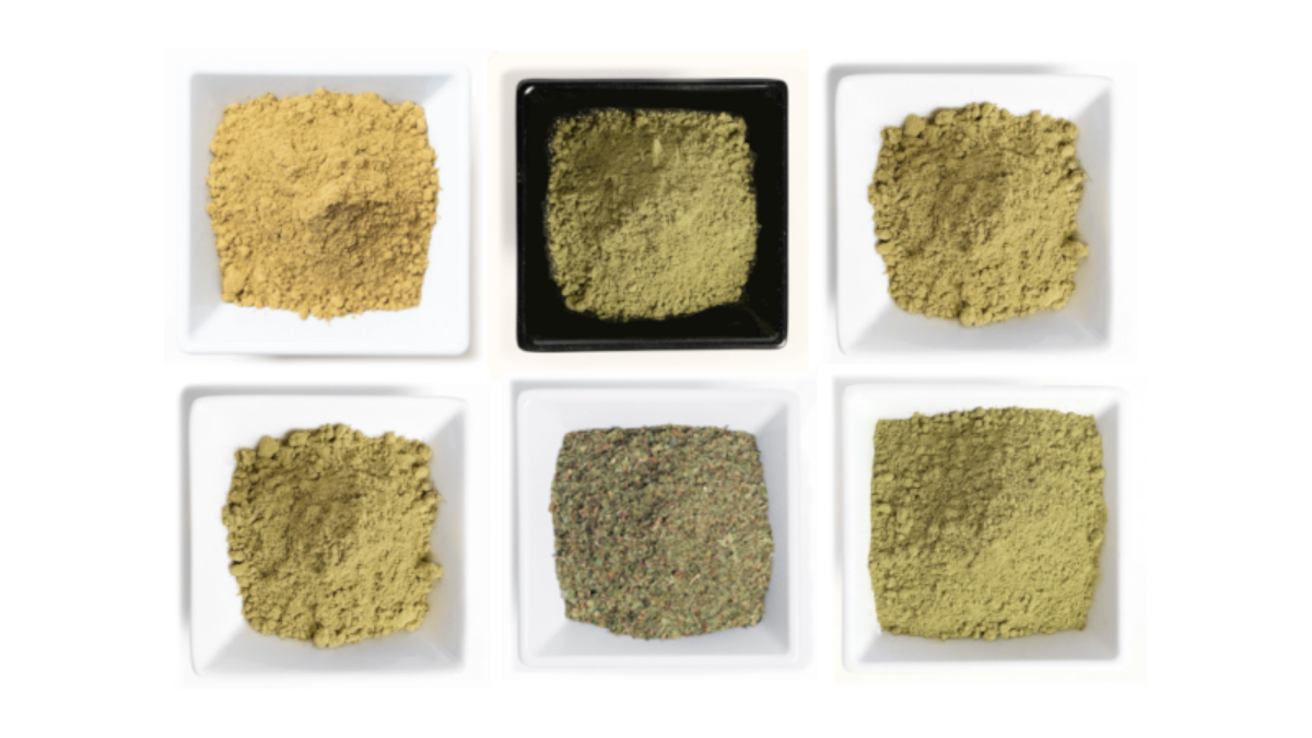6 Best Kratom Strains For Energy, Motivation, & Focus