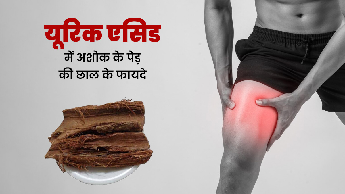 हाई यूरिक एसिड में करें अशोक की छाल का सेवन, मिलेंगे अनोखे फायदे