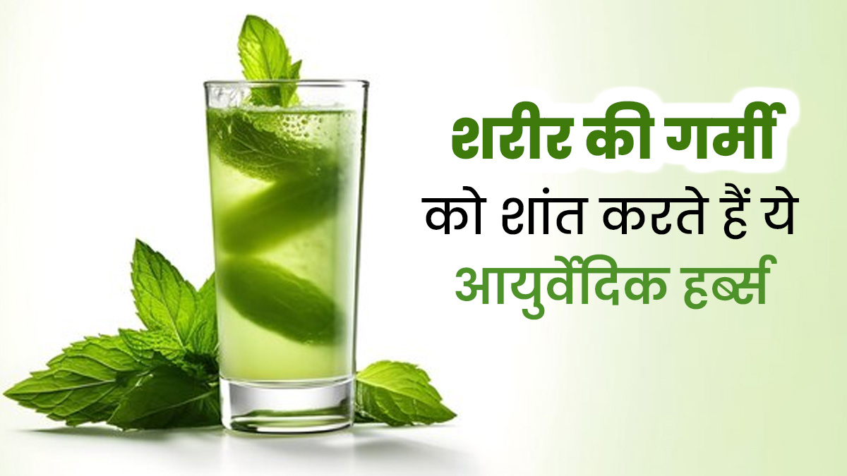 शरीर की गर्मी को शांत करने के लिए डाइट में शामिल करें ये आयुर्वेदिक हर्ब्स, पेट में बनी रहेगी ठंडक