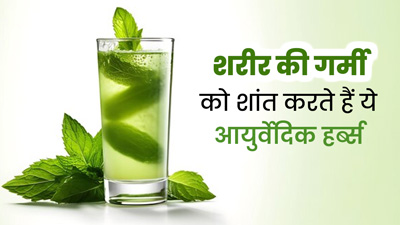 शरीर की गर्मी को शांत करने के लिए डाइट में शामिल करें ये आयुर्वेदिक हर्ब्स, पेट में बनी रहेगी ठंडक
