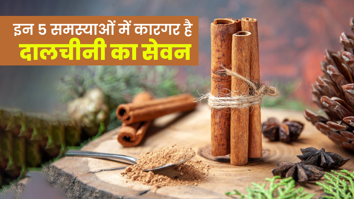 इन 5 समस्याओं में कारगर है दालचीनी का सेवन, आयुर्वेदाचार्य से जानें फायदे और इस्तेमाल के तरीके