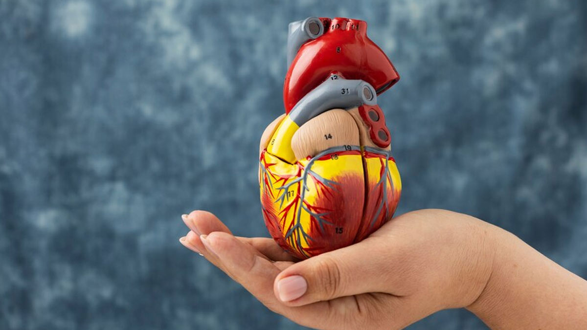 Why Early Detection Of Heart Failure Remains Challenging: Expert ...