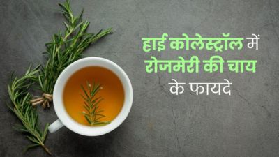हाई कोलेस्ट्रॉल कंट्रोल करने के लिए पिएं रोजमेरी की चाय, मिलेंगे अनोखे फायदे