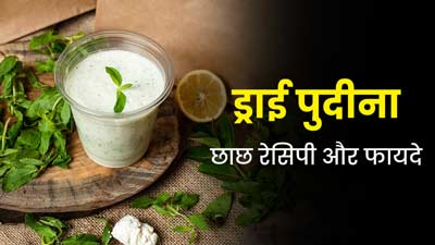 गर्मी के मौसम में पेट को ठंडा रखने के लिए पिएं पुदीने की छाछ, जानें रेसिपी और फायदे