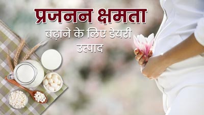 नेचुरल तरीके से फर्टिलिटी बढ़ाने में मदद करते हैं ये 5 डेयरी प्रोडक्ट्स, आयुर्वेदाचार्य से जानें फायदे