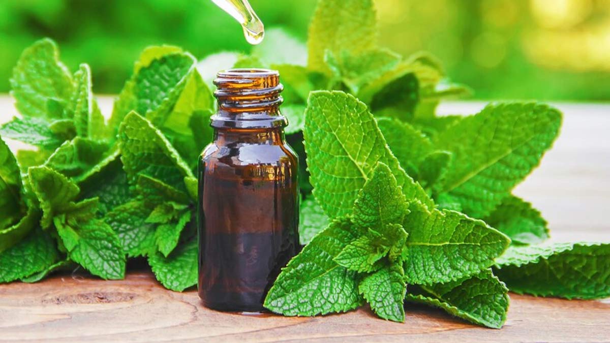 Peppermint For Digestive Relief: Here's How It Can Help Manage Diarrhoea