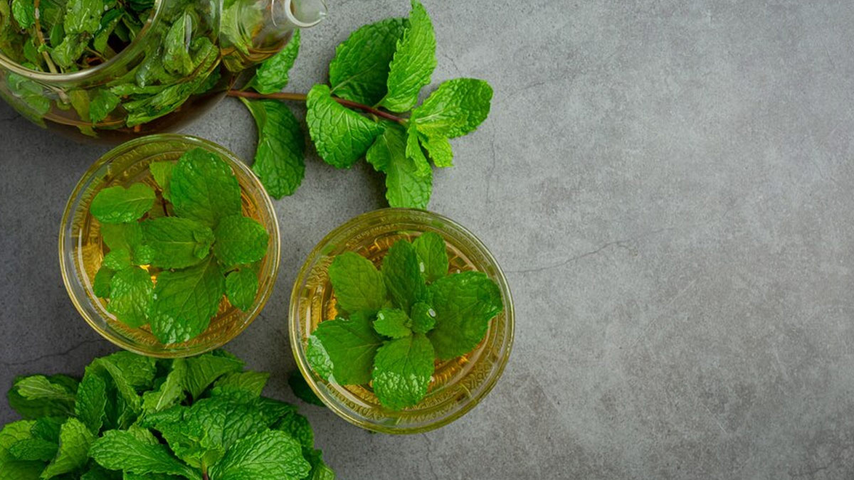 peppermint