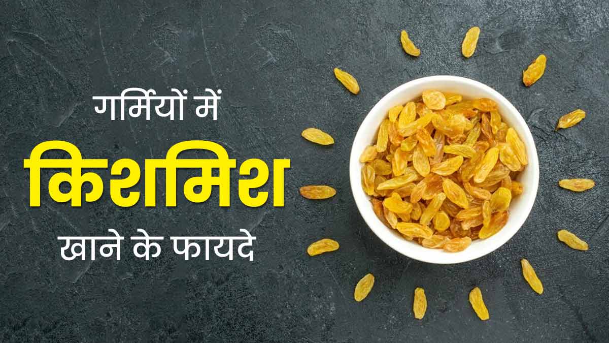 गर्मियों में रोजाना खाएं किशमिश, मिलेगा जबरदस्त एनर्जी बूस्ट और बेहतर पाचन
