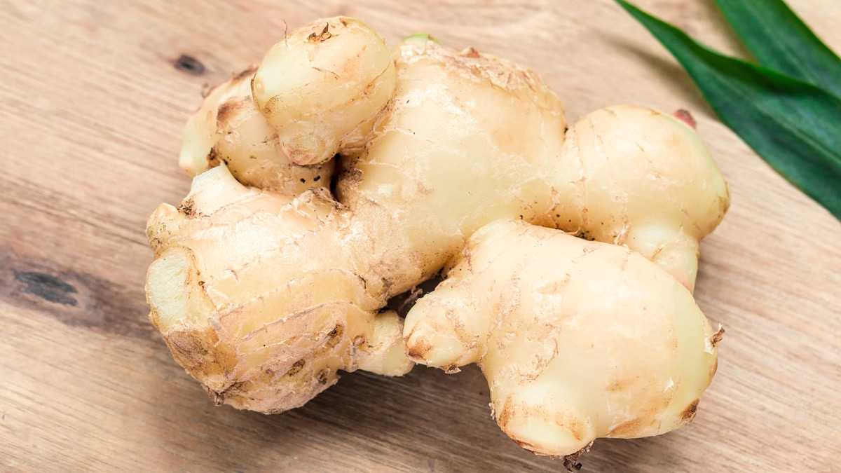 Ginger