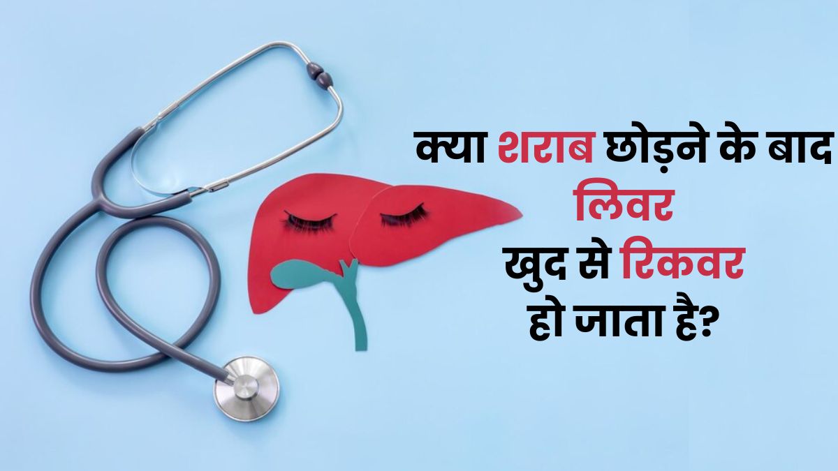 World Liver Day: क्या शराब छोड़ने के बाद लिवर खुद से रिकवर हो जाता है? जानें डॉक्टर से