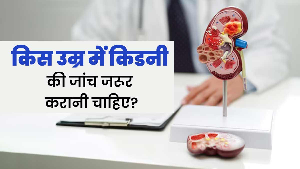किस उम्र में किडनी की जांच जरूर करानी चाहिए? जानें डॉक्टर की राय