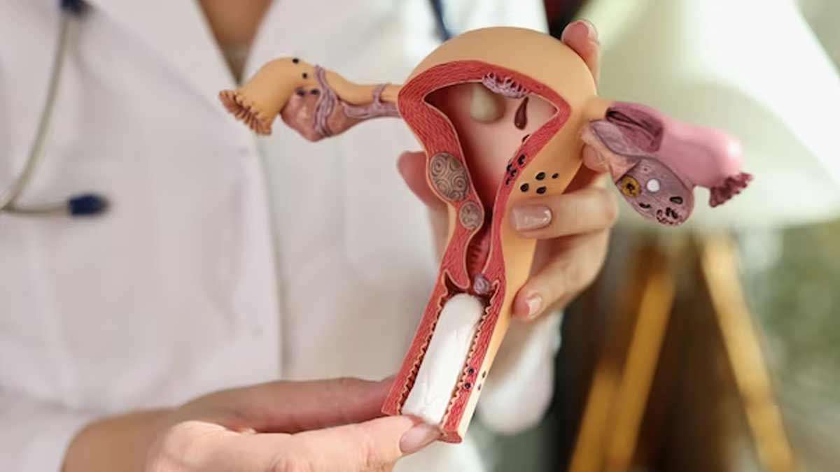 Can Stress Affect Your Private Parts In Hindi