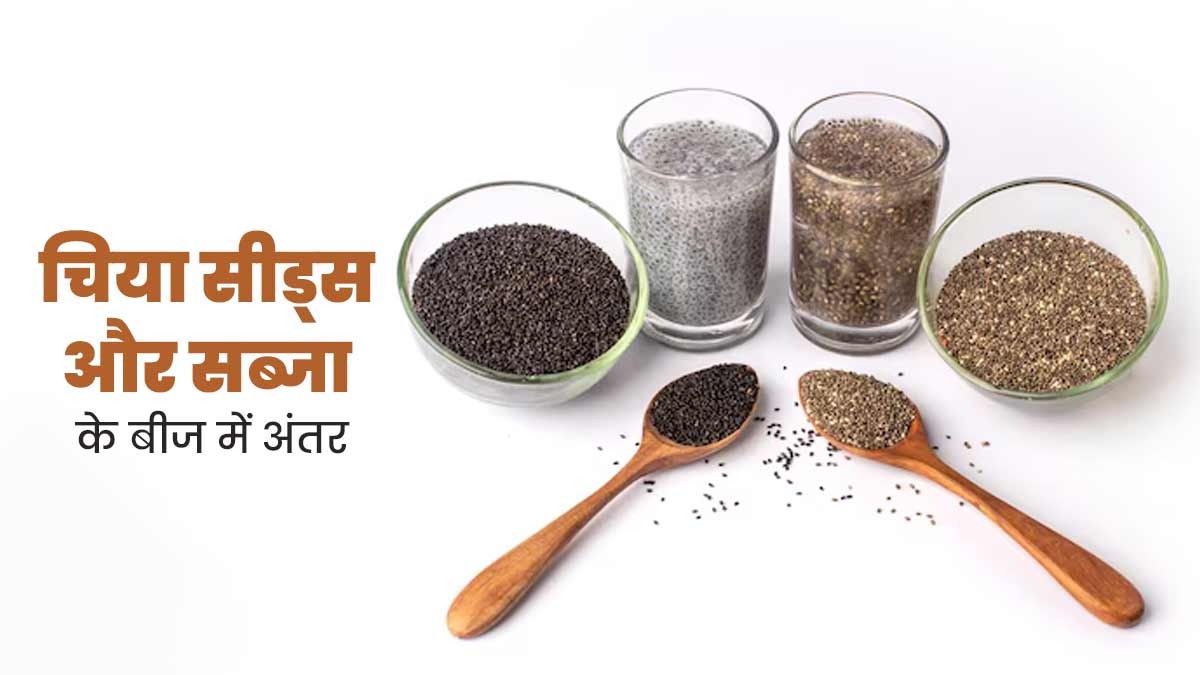 चिया सीड्स और सब्जा सीड्स में क्या अंतर है? जानें इनके पोषक तत्व और फायदे