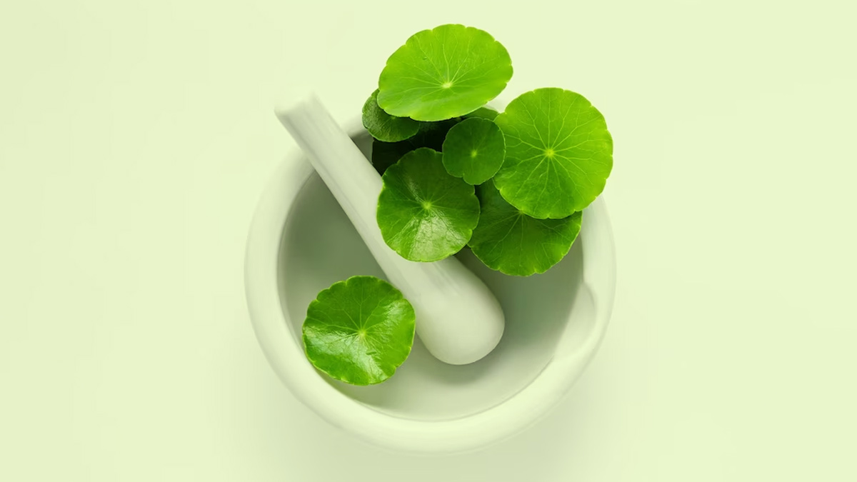 From Eczema To Psoriasis: Expert Lists Skin Healing Benefits Of Gotu Kola That You Should Know