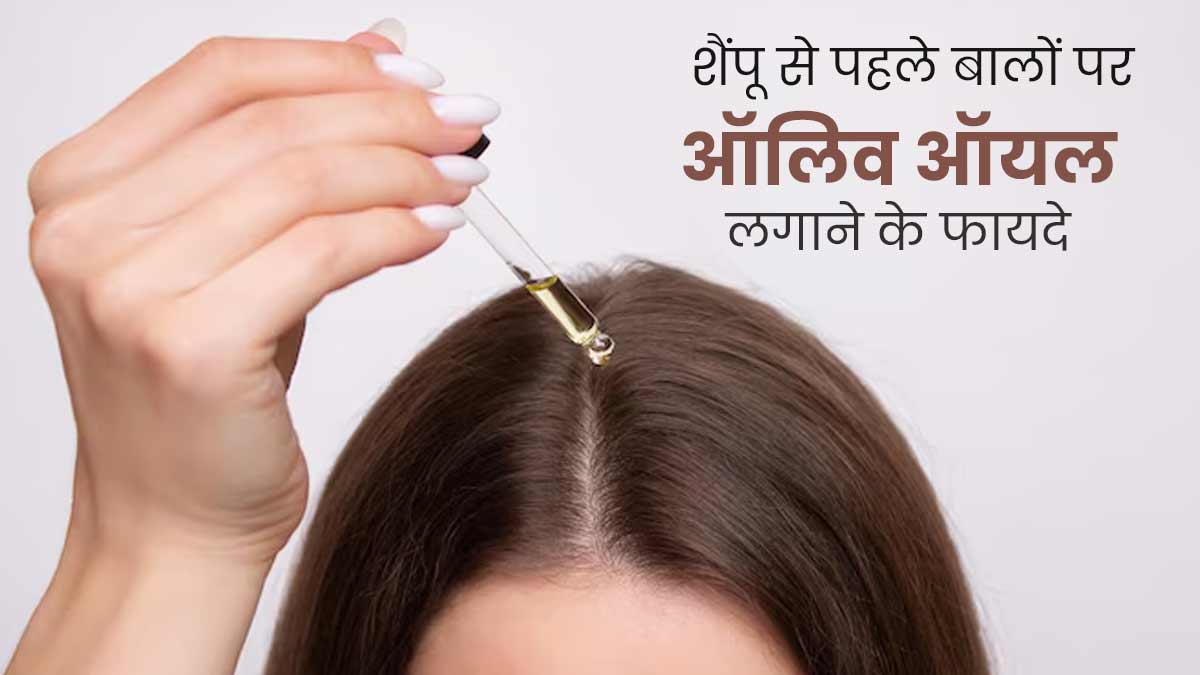 शैंपू करने से पहले बालों पर लगाएं ऑल‍िव ऑयल, जानें इसके फायदे और इस्तेमाल का तरीका