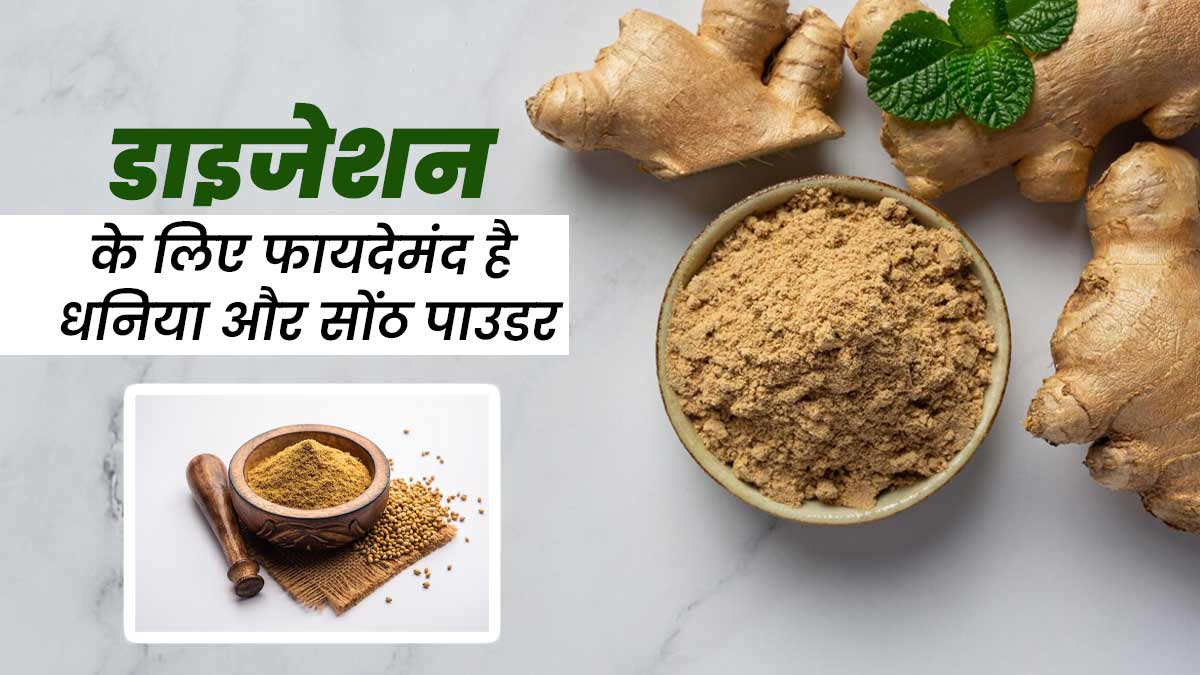 डाइजेशन को बेहतर रखने के लिए डाइट में शामिल करें धनिया और सोंठ का पाउडर, आयुर्वेदाचार्य से जानें तरीका