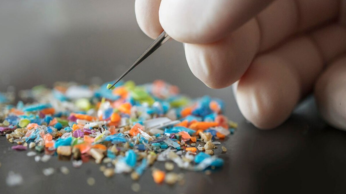 Study Finds Microplastics In Blood Clots Increase Heart Attack, Stroke Risk: Here’s How You Can Be Safe
