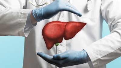 लिवर को हेल्दी रखने के लिए रोज सुबह खाएं ये 4 फूड्स, सेहत भी रहेगी बेहतर