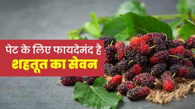 पेट के लिए फायदेमंद होता है शहतूत, डाइट में जरूर करें शामिल