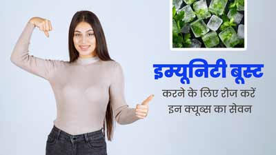 गर्मियों में इम्यूनिटी बूस्ट करने के लिए हर्ब्स से बनाएं खास आइस क्यूब्स, कोल्ड ड्रिंक्स की जगह पिएं इन्हें