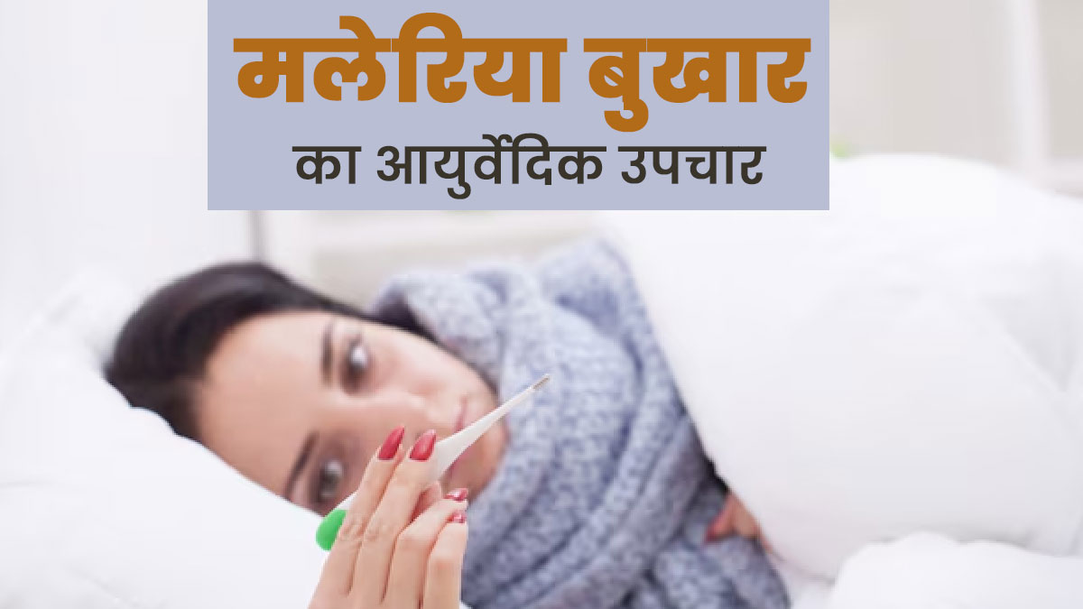 मलेरिया होने पर कारगर साबित हो सकते हैं ये आयुर्वेदिक उपचार, एक्सपर्ट से जानें