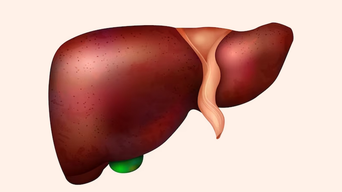 10 Deadly Combinations for your Liver Health