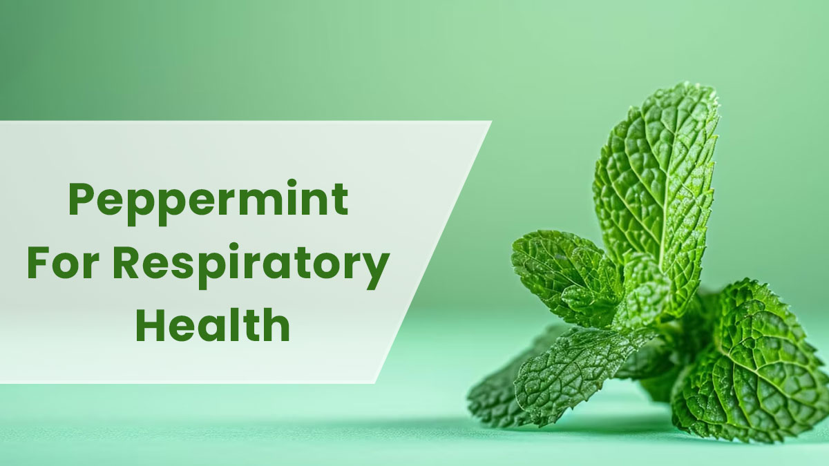 Peppermint For Respiratory Health: Expert Lists Benefits Of Peppermint And How To Use It 