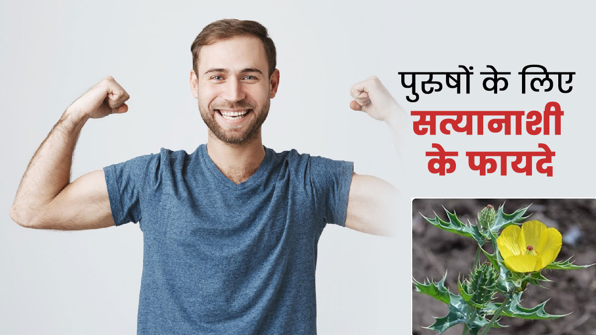 पुरुषों की कई समस्याओं में रामबाण है सत्यानाशी, जानें सेवन का तरीका