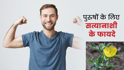 पुरुषों की कई समस्याओं में रामबाण है सत्यानाशी, जानें सेवन का तरीका