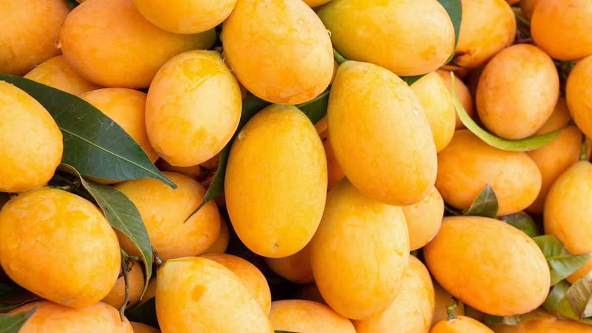 From Blood Sugar Spike To Weight Gain, Dietician Reveals Best Way To Eat Mangoes