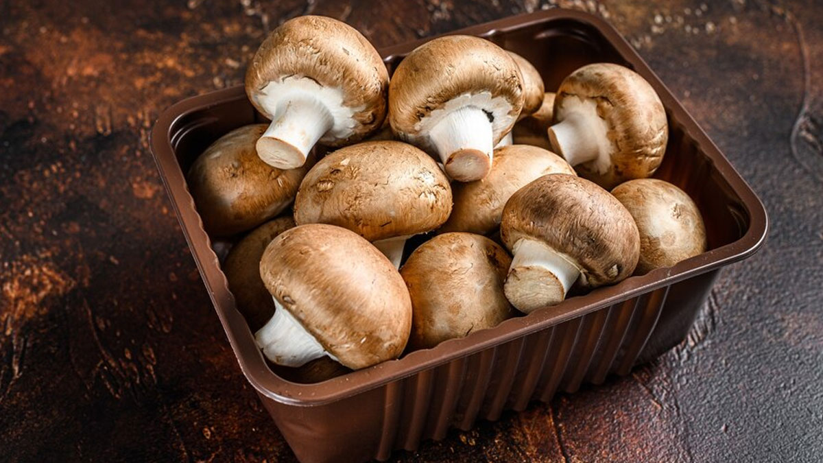 7 Vegetables That You Should Avoid In Summer